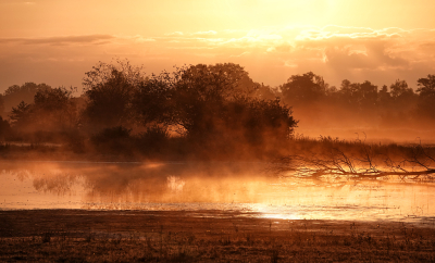 <i class='fa fa-user'></i>&nbsp;nelappelmelk&nbsp;|  Vroege en mistige morgen&nbsp; <i class='fa fa-eye'>&nbsp;84</i> &nbsp;<i class='fa fa-thumbs-up'>&nbsp;3</i> &nbsp; <i class='fa fa-comment-o'>&nbsp;5</i>