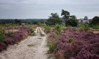 <i class='fa fa-user'></i>&nbsp;nelappelmelk&nbsp;|  Heide en voormalig zendgebouw&nbsp; <i class='fa fa-eye'>&nbsp;94</i> &nbsp; <i class='fa fa-comment-o'>&nbsp;4</i>