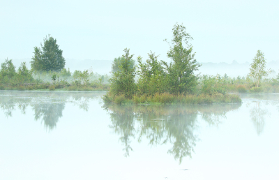 <i class='fa fa-user'></i>&nbsp;Pieter  LJ&nbsp;|  Nevelige ochtend&nbsp; <i class='fa fa-eye'>&nbsp;97</i> &nbsp;<i class='fa fa-thumbs-up'>&nbsp;5</i> &nbsp; <i class='fa fa-comment-o'>&nbsp;7</i>