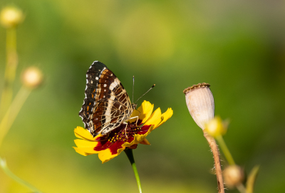 <i class='fa fa-user'></i>&nbsp;David&nbsp;|  Landkaartje&nbsp; <i class='fa fa-eye'>&nbsp;50</i> &nbsp;<i class='fa fa-thumbs-up'>&nbsp;2</i> &nbsp; <i class='fa fa-comment-o'>&nbsp;1</i>