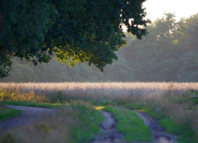 <i class='fa fa-user'></i>&nbsp;jeb&nbsp;|  Coulissen landschap&nbsp; <i class='fa fa-eye'>&nbsp;74</i> &nbsp;<i class='fa fa-thumbs-up'>&nbsp;1</i> &nbsp; <i class='fa fa-comment-o'>&nbsp;1</i>