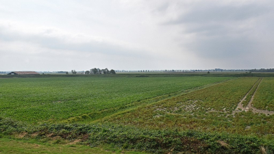 <i class='fa fa-user'></i>&nbsp;kooyammers&nbsp;|  Zeeuws Landschap&nbsp; <i class='fa fa-eye'>&nbsp;67</i> &nbsp; <i class='fa fa-comment-o'>&nbsp;3</i>