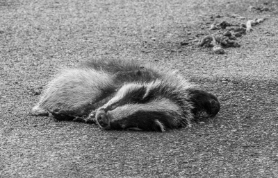 <i class='fa fa-user'></i>&nbsp;Henk Bouter&nbsp;|  Das&nbsp; <i class='fa fa-eye'>&nbsp;131</i> &nbsp; <i class='fa fa-comment-o'>&nbsp;1</i>