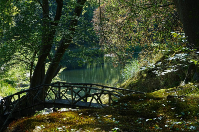 <i class='fa fa-user'></i>&nbsp;hesterb&nbsp;|  Bewerkt 'natuur' landschap&nbsp; <i class='fa fa-eye'>&nbsp;84</i> &nbsp; <i class='fa fa-comment-o'>&nbsp;4</i>