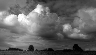 <i class='fa fa-user'></i>&nbsp;B.M.Schouten-Ruis&nbsp;|  Landschap Nieuwerkerk aan den IJssel&nbsp; <i class='fa fa-eye'>&nbsp;91</i> &nbsp;<i class='fa fa-thumbs-up'>&nbsp;2</i> &nbsp; <i class='fa fa-comment-o'>&nbsp;6</i>