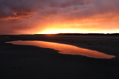 <i class='fa fa-user'></i>&nbsp;nelappelmelk&nbsp;|  Ochtendrood&nbsp; <i class='fa fa-eye'>&nbsp;69</i> &nbsp; <i class='fa fa-comment-o'>&nbsp;4</i>