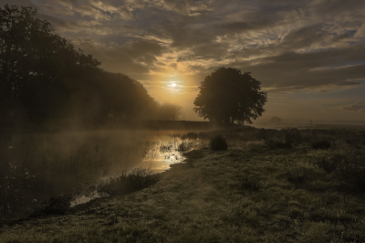 <i class='fa fa-user'></i>&nbsp;David&nbsp;|  Mist boven de beek&nbsp; <i class='fa fa-eye'>&nbsp;112</i> &nbsp;<i class='fa fa-thumbs-up'>&nbsp;5</i> &nbsp; <i class='fa fa-comment-o'>&nbsp;4</i>