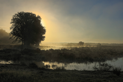 <i class='fa fa-user'></i>&nbsp;David&nbsp;|  Grondmist&nbsp; <i class='fa fa-eye'>&nbsp;86</i> &nbsp;<i class='fa fa-thumbs-up'>&nbsp;1</i> &nbsp; <i class='fa fa-comment-o'>&nbsp;1</i>