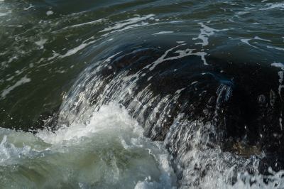 <i class='fa fa-user'></i>&nbsp;Eef Kieft&nbsp;|  Dynamiek&nbsp; <i class='fa fa-eye'>&nbsp;60</i> &nbsp; <i class='fa fa-comment-o'>&nbsp;1</i>