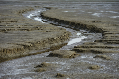 <i class='fa fa-user'></i>&nbsp;Ben Aalders&nbsp;|  Laag water Waddenzee&nbsp; <i class='fa fa-eye'>&nbsp;71</i> &nbsp;<i class='fa fa-thumbs-up'>&nbsp;2</i> &nbsp; <i class='fa fa-comment-o'>&nbsp;1</i>