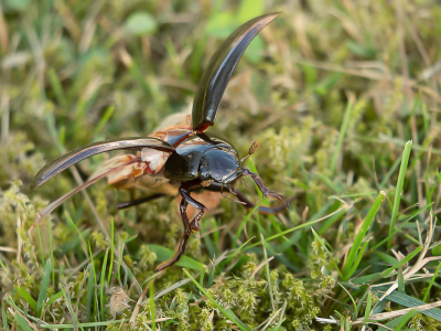 <i class='fa fa-user'></i>&nbsp;Truus Aletta Maan&nbsp;|  Grote Spinnende Watertor&nbsp; <i class='fa fa-eye'>&nbsp;94</i> &nbsp;<i class='fa fa-thumbs-up'>&nbsp;3</i> &nbsp; <i class='fa fa-comment-o'>&nbsp;3</i>