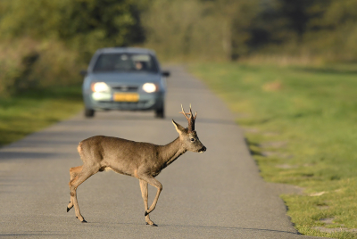 <i class='fa fa-user'></i>&nbsp;Eric Gibcus&nbsp;|  Ree&nbsp; <i class='fa fa-eye'>&nbsp;100</i> &nbsp; <i class='fa fa-comment-o'>&nbsp;4</i>