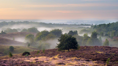 Vrijdagavond was er ochtendmist voorspeld. Na de schitterende zonsopkomst aan de Dierensche Hank verder gereden naar de Posbank waar je pas na zonsopkomst (vandaag 6:58) naartoe mag rijden. Deze foto is gemaakt om 07:17