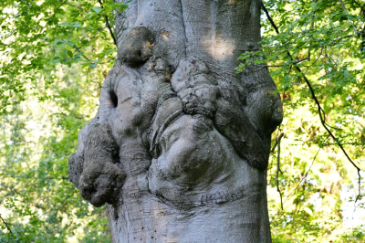 <i class='fa fa-user'></i>&nbsp;hesterb&nbsp;|  Beuk&nbsp; <i class='fa fa-eye'>&nbsp;60</i> &nbsp; <i class='fa fa-comment-o'>&nbsp;3</i>