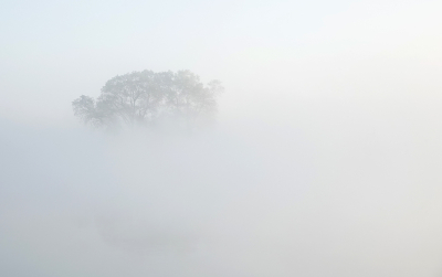 <i class='fa fa-user'></i>&nbsp;nelappelmelk&nbsp;|  Dichte mist&nbsp; <i class='fa fa-eye'>&nbsp;72</i> &nbsp;<i class='fa fa-thumbs-up'>&nbsp;1</i> &nbsp; <i class='fa fa-comment-o'>&nbsp;4</i>