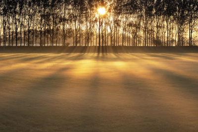 <i class='fa fa-user'></i>&nbsp;Niek Goossen&nbsp;|  Een mooie start&nbsp; <i class='fa fa-eye'>&nbsp;82</i> &nbsp;<i class='fa fa-thumbs-up'>&nbsp;5</i> &nbsp; <i class='fa fa-comment-o'>&nbsp;7</i>