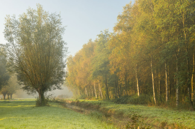 <i class='fa fa-user'></i>&nbsp;ErnovanDoorn&nbsp;|  Begin van de Herfst&nbsp; <i class='fa fa-eye'>&nbsp;74</i> &nbsp;<i class='fa fa-thumbs-up'>&nbsp;1</i> &nbsp; <i class='fa fa-comment-o'>&nbsp;7</i>