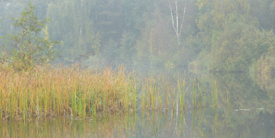 <i class='fa fa-user'></i>&nbsp;Hendrik van Kampen&nbsp;|  Earnewarrepoel&nbsp; <i class='fa fa-eye'>&nbsp;75</i> &nbsp; <i class='fa fa-comment-o'>&nbsp;2</i>