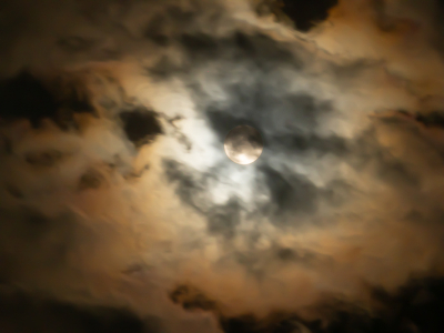 <i class='fa fa-user'></i>&nbsp;Truus Aletta Maan&nbsp;|  Maan&nbsp; <i class='fa fa-eye'>&nbsp;51</i> &nbsp;<i class='fa fa-thumbs-up'>&nbsp;3</i> &nbsp; <i class='fa fa-comment-o'>&nbsp;3</i>