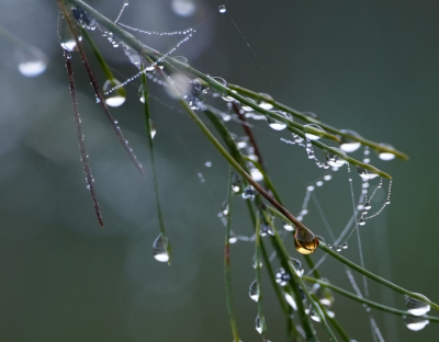 <i class='fa fa-user'></i>&nbsp;hesterb&nbsp;|  Ochtendgloed&nbsp; <i class='fa fa-eye'>&nbsp;44</i> &nbsp;<i class='fa fa-thumbs-up'>&nbsp;1</i> &nbsp; <i class='fa fa-comment-o'>&nbsp;5</i>