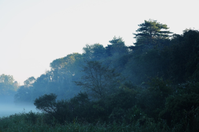 <i class='fa fa-user'></i>&nbsp;hesterb&nbsp;|  Zanderijvaart&nbsp; <i class='fa fa-eye'>&nbsp;56</i> &nbsp; <i class='fa fa-comment-o'>&nbsp;1</i>