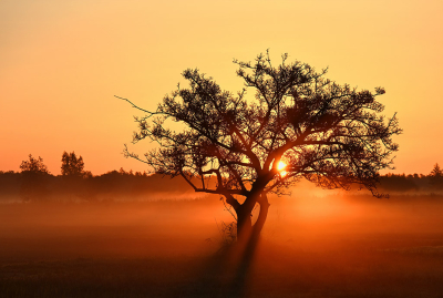 <i class='fa fa-user'></i>&nbsp;Eric Gibcus&nbsp;|  Zonsopkomst&nbsp; <i class='fa fa-eye'>&nbsp;56</i> &nbsp;<i class='fa fa-thumbs-up'>&nbsp;2</i> &nbsp; <i class='fa fa-comment-o'>&nbsp;1</i>