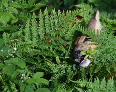 <i class='fa fa-user'></i>&nbsp;robert-jan&nbsp;|  Ree&nbsp; <i class='fa fa-eye'>&nbsp;113</i> &nbsp; <i class='fa fa-comment-o'>&nbsp;2</i>