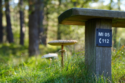 <i class='fa fa-user'></i>&nbsp;hesterb&nbsp;|  Stoel of kruk&nbsp; <i class='fa fa-eye'>&nbsp;82</i> &nbsp;<i class='fa fa-thumbs-up'>&nbsp;2</i> &nbsp; <i class='fa fa-comment-o'>&nbsp;7</i>