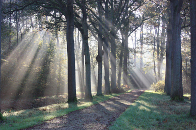 <i class='fa fa-user'></i>&nbsp;Paul Vandebroek&nbsp;|  Zonneharp&nbsp; <i class='fa fa-eye'>&nbsp;67</i> &nbsp;<i class='fa fa-thumbs-up'>&nbsp;2</i> &nbsp; <i class='fa fa-comment-o'>&nbsp;5</i>