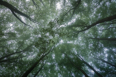 <i class='fa fa-user'></i>&nbsp;Jurgen Maassen&nbsp;|  Kijkje omhoog&nbsp; <i class='fa fa-eye'>&nbsp;72</i> &nbsp;<i class='fa fa-thumbs-up'>&nbsp;1</i> &nbsp; <i class='fa fa-comment-o'>&nbsp;6</i>