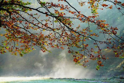 <i class='fa fa-user'></i>&nbsp;hesterb&nbsp;|  Treurgeesten stijgen op in zonnestralen&nbsp; <i class='fa fa-eye'>&nbsp;63</i> &nbsp; <i class='fa fa-comment-o'>&nbsp;4</i>