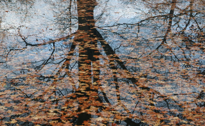 <i class='fa fa-user'></i>&nbsp;nelappelmelk&nbsp;|  Herfst&nbsp; <i class='fa fa-eye'>&nbsp;65</i> &nbsp;<i class='fa fa-thumbs-up'>&nbsp;3</i> &nbsp; <i class='fa fa-comment-o'>&nbsp;3</i>