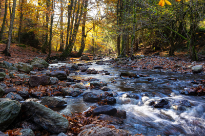 <i class='fa fa-user'></i>&nbsp;David&nbsp;|  Herfst&nbsp; <i class='fa fa-eye'>&nbsp;118</i> &nbsp;<i class='fa fa-thumbs-up'>&nbsp;8</i> &nbsp; <i class='fa fa-comment-o'>&nbsp;5</i>