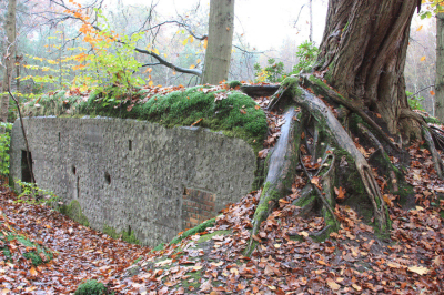 <i class='fa fa-user'></i>&nbsp;Paul Vandebroek&nbsp;|  Natuur neemt over&nbsp; <i class='fa fa-eye'>&nbsp;88</i> &nbsp; <i class='fa fa-comment-o'>&nbsp;2</i>