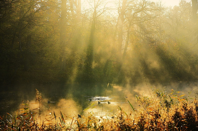 <i class='fa fa-user'></i>&nbsp;hesterb&nbsp;|  Zonovergoten dampen&nbsp; <i class='fa fa-eye'>&nbsp;74</i> &nbsp; <i class='fa fa-comment-o'>&nbsp;0</i>