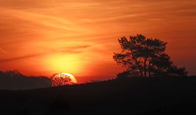 <i class='fa fa-user'></i>&nbsp;nelappelmelk&nbsp;|  Zonsopkomst&nbsp; <i class='fa fa-eye'>&nbsp;86</i> &nbsp;<i class='fa fa-thumbs-up'>&nbsp;9</i> &nbsp; <i class='fa fa-comment-o'>&nbsp;5</i>