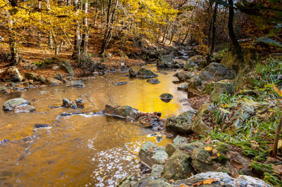 <i class='fa fa-user'></i>&nbsp;David&nbsp;|  Herfst&nbsp; <i class='fa fa-eye'>&nbsp;107</i> &nbsp;<i class='fa fa-thumbs-up'>&nbsp;5</i> &nbsp; <i class='fa fa-comment-o'>&nbsp;4</i>