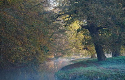 <i class='fa fa-user'></i>&nbsp;hesterb&nbsp;|  Fotodroomgloren&nbsp; <i class='fa fa-eye'>&nbsp;96</i> &nbsp;<i class='fa fa-thumbs-up'>&nbsp;4</i> &nbsp; <i class='fa fa-comment-o'>&nbsp;8</i>