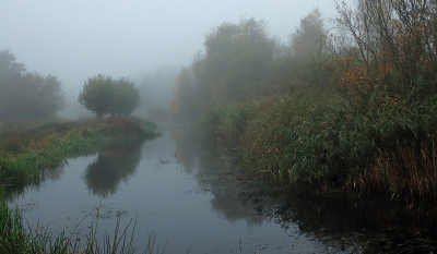 <i class='fa fa-user'></i>&nbsp;Tineke Strijbosch&nbsp;|  Ochtendmist in De Landjes&nbsp; <i class='fa fa-eye'>&nbsp;44</i> &nbsp; <i class='fa fa-comment-o'>&nbsp;2</i>