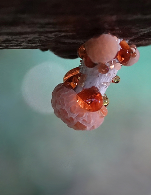 <i class='fa fa-user'></i>&nbsp;nelappelmelk&nbsp;|  Zalmzwam&nbsp; <i class='fa fa-eye'>&nbsp;132</i> &nbsp;<i class='fa fa-thumbs-up'>&nbsp;14</i> &nbsp; <i class='fa fa-comment-o'>&nbsp;11</i>