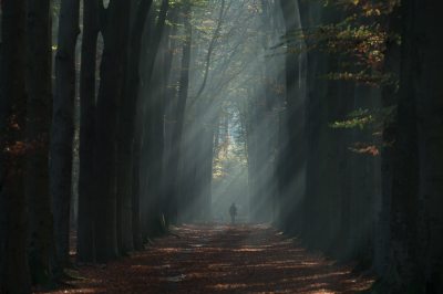  / Zonneharpen / -