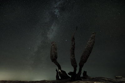 <i class='fa fa-user'></i>&nbsp;Eric Gibcus&nbsp;|  Melk weg&nbsp; <i class='fa fa-eye'>&nbsp;97</i> &nbsp;<i class='fa fa-thumbs-up'>&nbsp;2</i> &nbsp; <i class='fa fa-comment-o'>&nbsp;5</i>