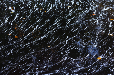 <i class='fa fa-user'></i>&nbsp;David&nbsp;|  Patronen in het water&nbsp; <i class='fa fa-eye'>&nbsp;78</i> &nbsp;<i class='fa fa-thumbs-up'>&nbsp;2</i> &nbsp; <i class='fa fa-comment-o'>&nbsp;1</i>