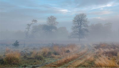 <i class='fa fa-user'></i>&nbsp;phoogendijk&nbsp;|  Landschap&nbsp; <i class='fa fa-eye'>&nbsp;134</i> &nbsp;<i class='fa fa-thumbs-up'>&nbsp;8</i> &nbsp; <i class='fa fa-comment-o'>&nbsp;10</i>