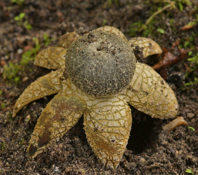 <i class='fa fa-user'></i>&nbsp;ricootten&nbsp;|  Weerhuisje&nbsp; <i class='fa fa-eye'>&nbsp;108</i> &nbsp;<i class='fa fa-thumbs-up'>&nbsp;2</i> &nbsp; <i class='fa fa-comment-o'>&nbsp;6</i>