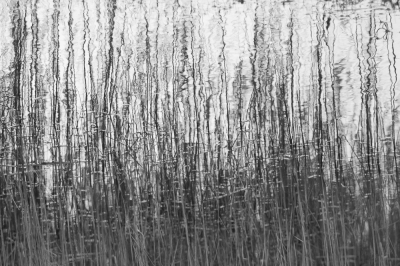 <i class='fa fa-user'></i>&nbsp;susan meijnders&nbsp;|  Riet maar dan anders&nbsp; <i class='fa fa-eye'>&nbsp;71</i> &nbsp;<i class='fa fa-thumbs-up'>&nbsp;5</i> &nbsp; <i class='fa fa-comment-o'>&nbsp;5</i>