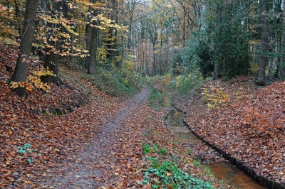 <i class='fa fa-user'></i>&nbsp;nelappelmelk&nbsp;|  Parkje Goudvink&nbsp; <i class='fa fa-eye'>&nbsp;81</i> &nbsp; <i class='fa fa-comment-o'>&nbsp;2</i>