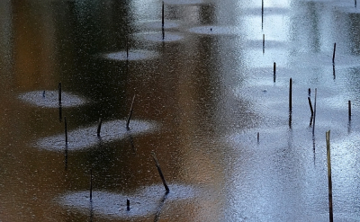 <i class='fa fa-user'></i>&nbsp;nelappelmelk&nbsp;|  IJsbaan&nbsp; <i class='fa fa-eye'>&nbsp;85</i> &nbsp;<i class='fa fa-thumbs-up'>&nbsp;5</i> &nbsp; <i class='fa fa-comment-o'>&nbsp;6</i>