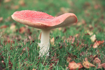 Dankzij een gouden tip van Adri, heb ik dit als resultaat verkregen door het jpeg bestand te openen in Camera Raw en daar te bewerken. Nooit geweten dat dit kon.
Ik ben benieuwd wat jullie ervan vinden...