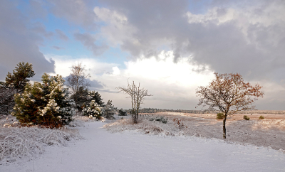 <i class='fa fa-user'></i>&nbsp;nelappelmelk&nbsp;|  Winters weer 1&nbsp; <i class='fa fa-eye'>&nbsp;110</i> &nbsp;<i class='fa fa-thumbs-up'>&nbsp;10</i> &nbsp; <i class='fa fa-comment-o'>&nbsp;10</i>